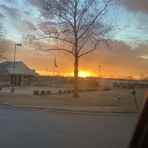 Meet your Posher, Abigail